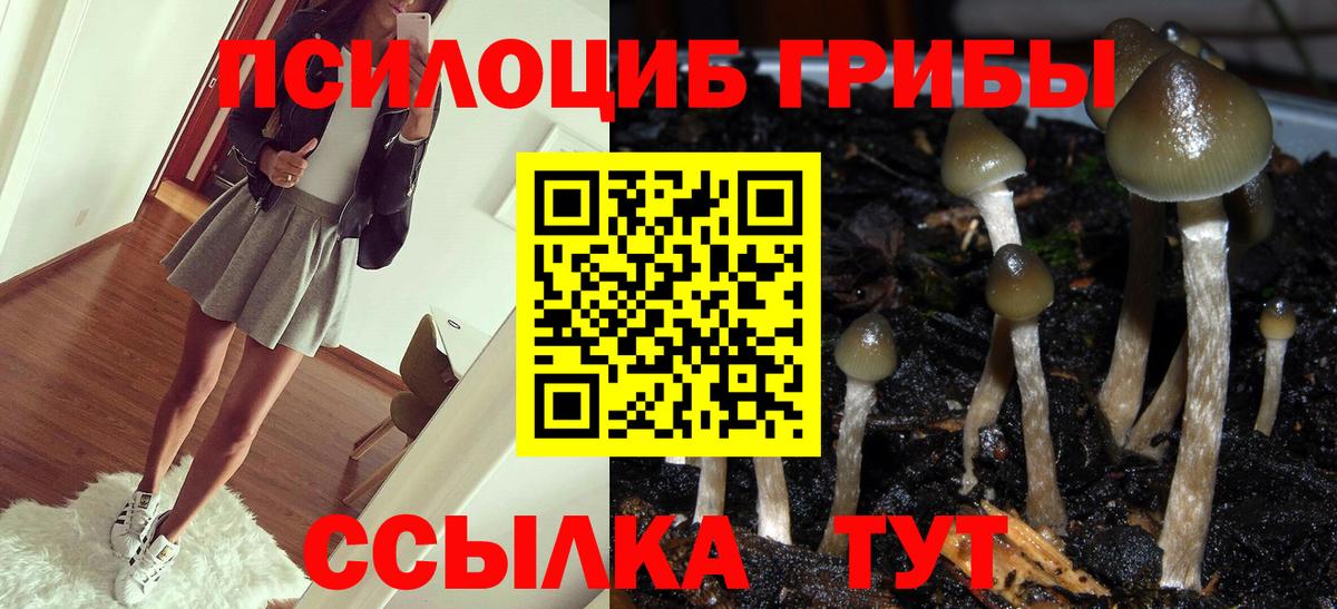Кумертау  Псилоцибиновые грибы Psilocybe  Вход с VPN 