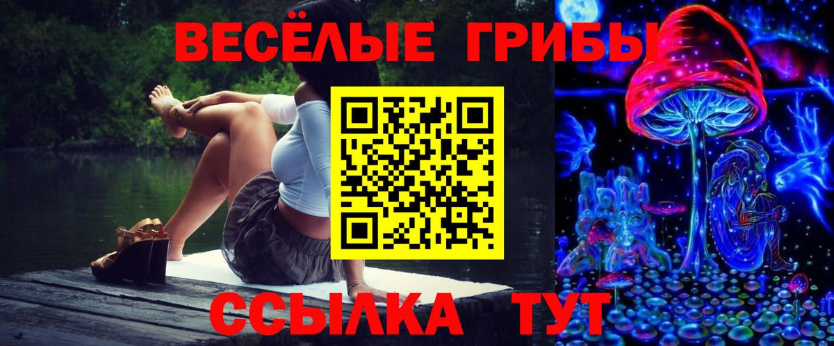 Галлюциногенные грибы ЛСД Кумертау